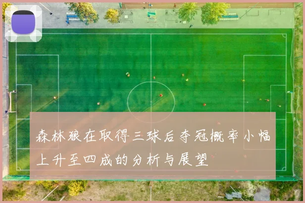 森林狼在取得三球后夺冠概率小幅上升至四成的分析与展望
