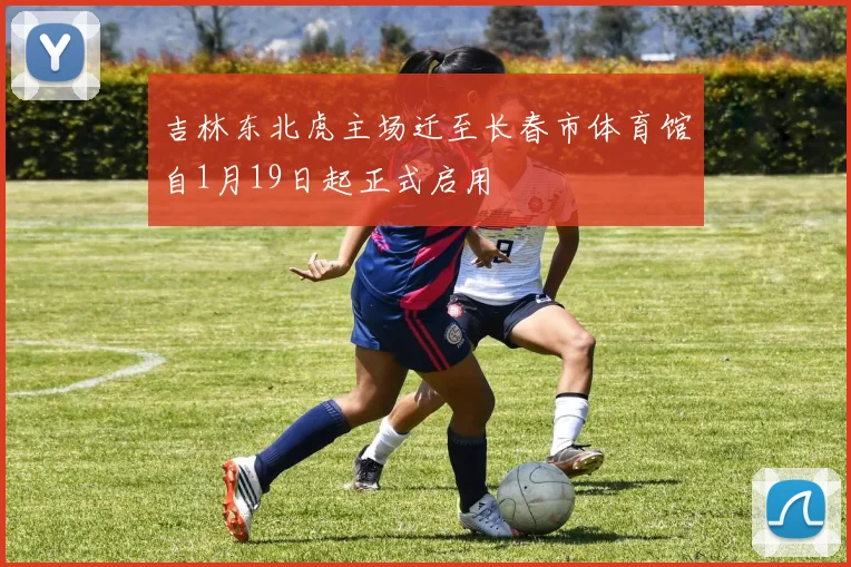 吉林东北虎主场迁至长春市体育馆自1月19日起正式启用
